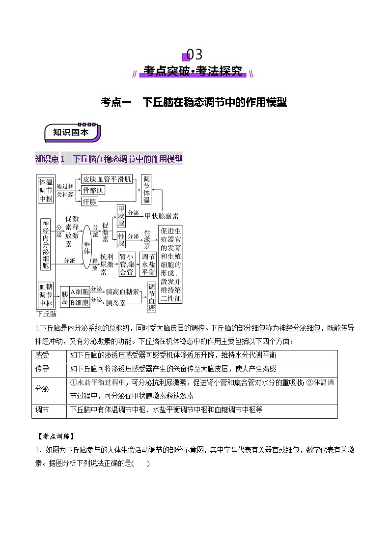 2025年新高考生物一轮复习第8单元稳态与调节第30讲动物生命活动调节的综合分析（讲义）（学生版）第3页