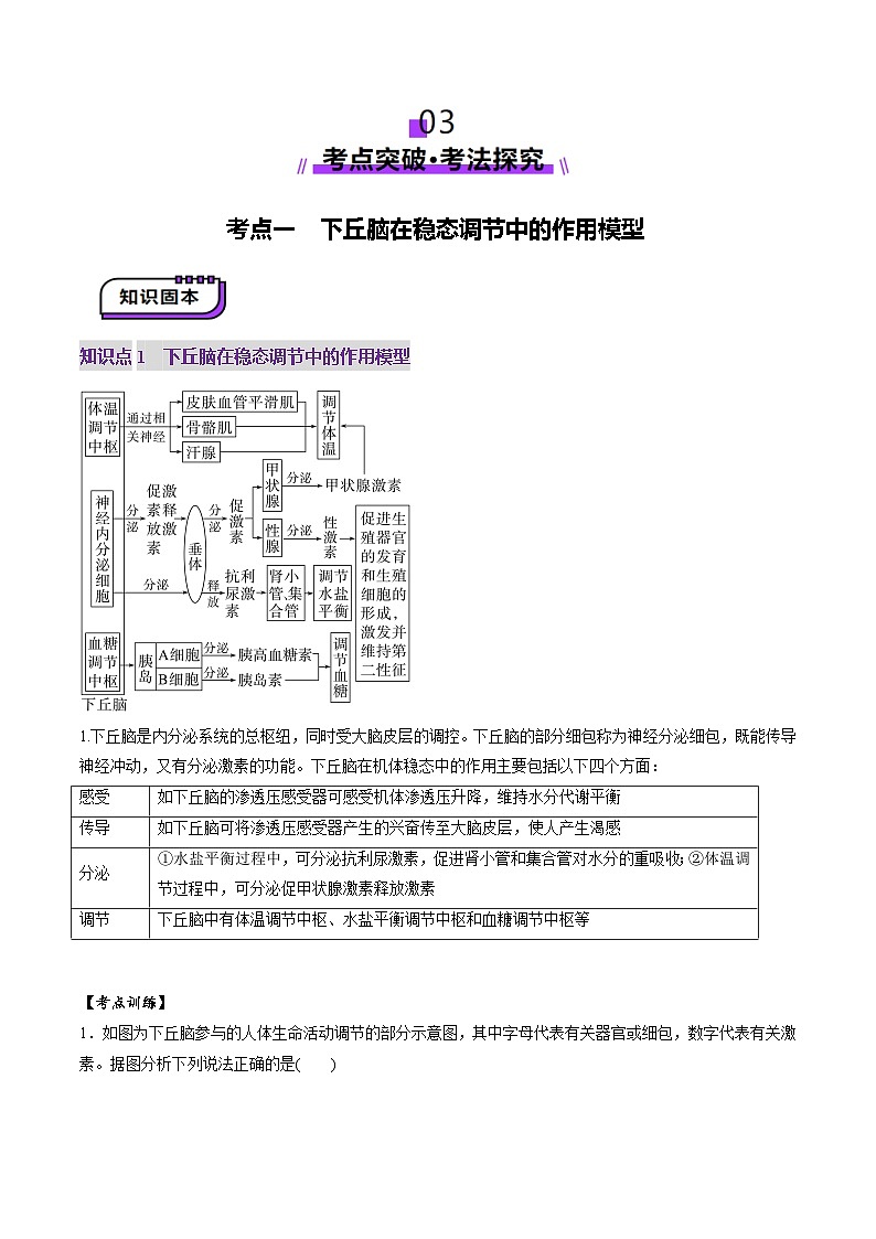 2025年新高考生物一轮复习第8单元稳态与调节第30讲动物生命活动调节的综合分析（讲义）（教师版）第3页