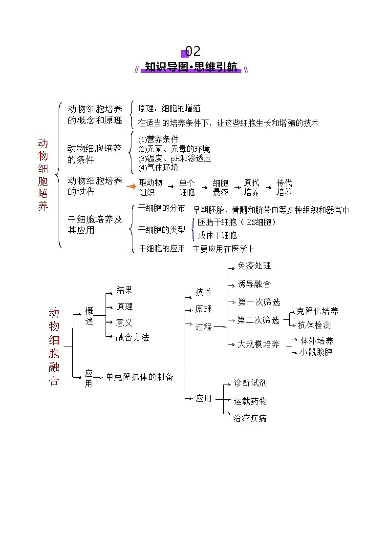 2025年新高考生物一轮复习第10单元生物技术与工程第40讲动物细胞工程（讲义）（教师版）第3页