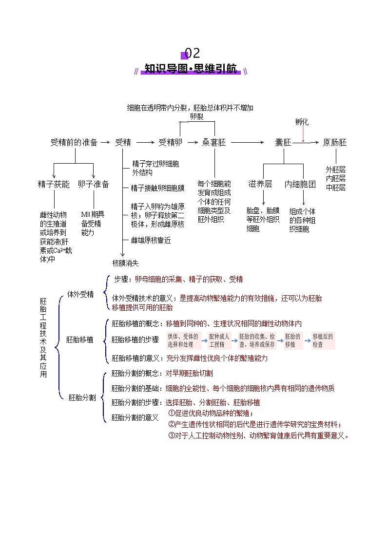 2025年新高考生物一轮复习第10单元生物技术与工程第41讲胚胎工程（讲义）（学生版）第3页