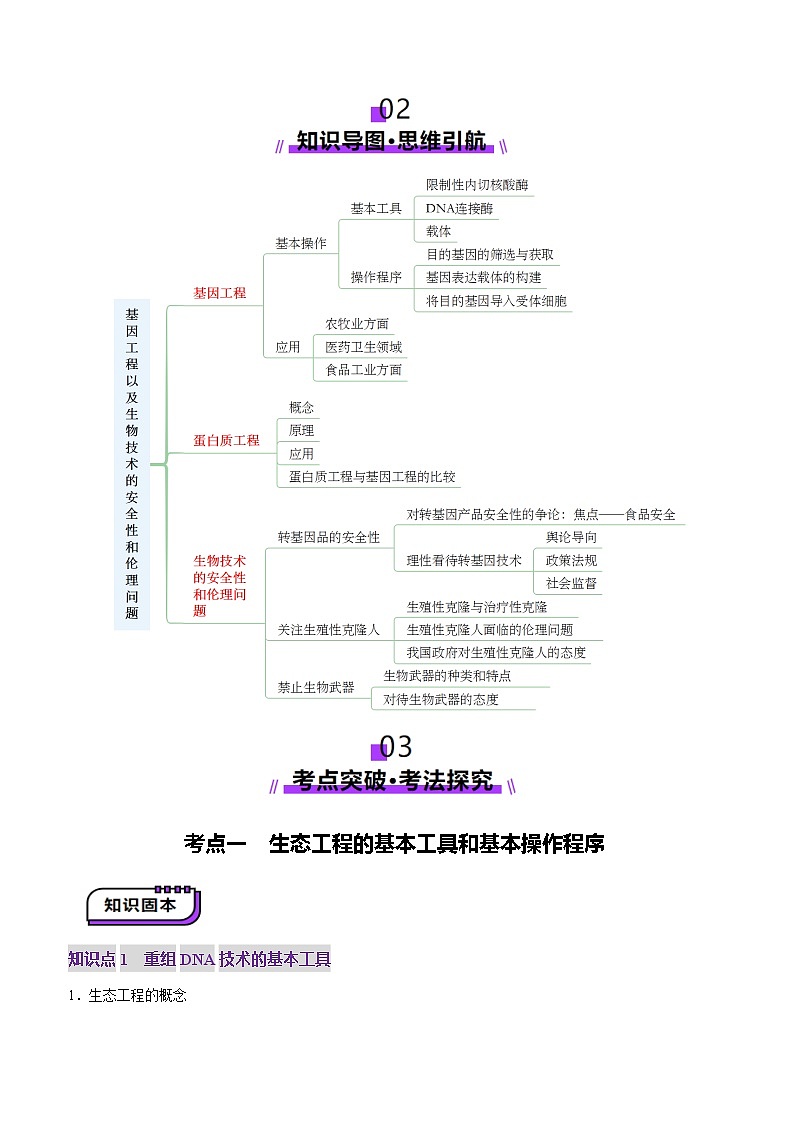 2025年新高考生物一轮复习第10单元生物技术与工程第42讲基因工程以及生物技术的安全性和伦理问题（讲义）（学生版）第3页