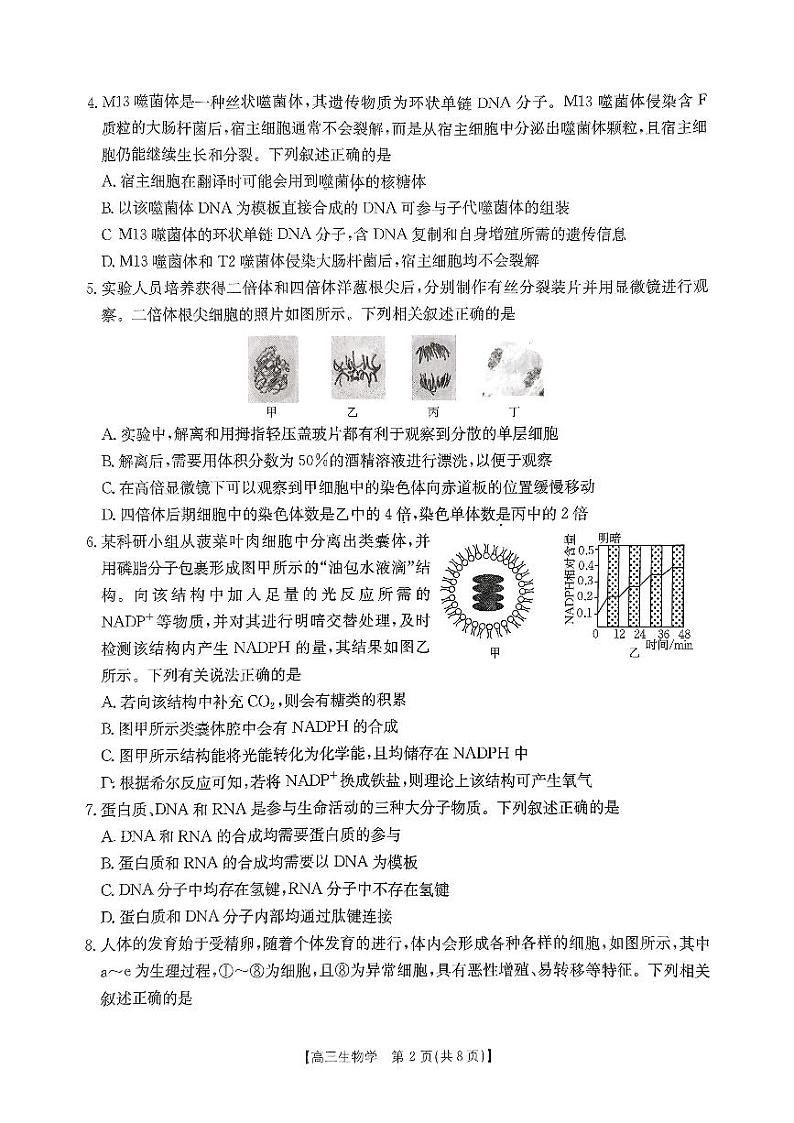 2024-2025学年贵州省金太阳高三上学期联考一模生物试题第2页