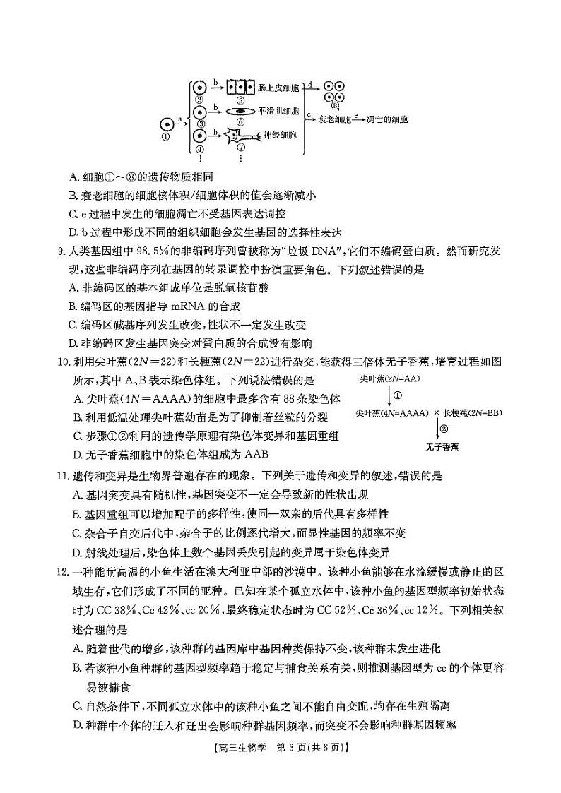 2024-2025学年贵州省金太阳高三上学期联考一模生物试题第3页