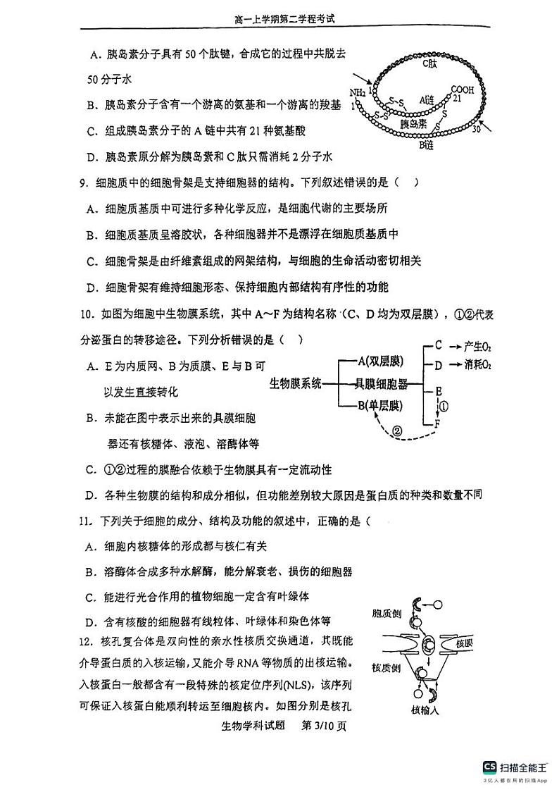 吉林省长春市第六中学2024-2025学年高一上学期期中生物试题第3页