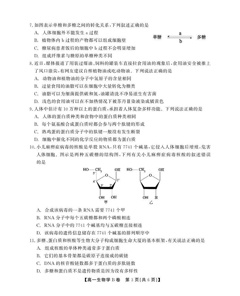 安徽省鼎尖教育2024-2025学年高一上学期11月期中考试生物B卷试题第3页