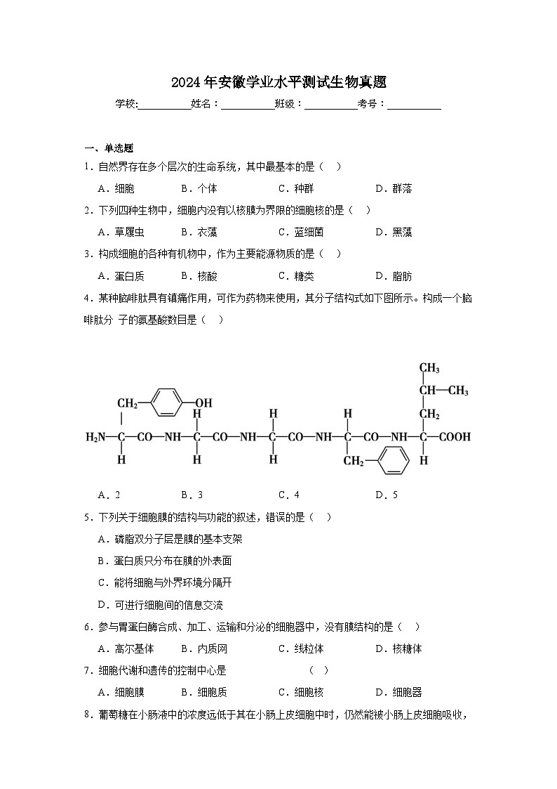 2024年安徽高中学业水平测试生物真题第1页
