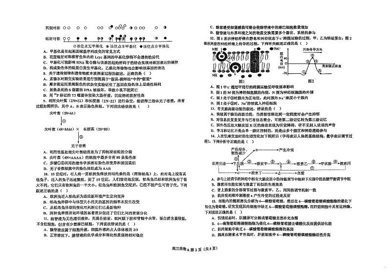 辽宁省鞍山市普通高中2025届高三年级上学期第三次月考生物第2页