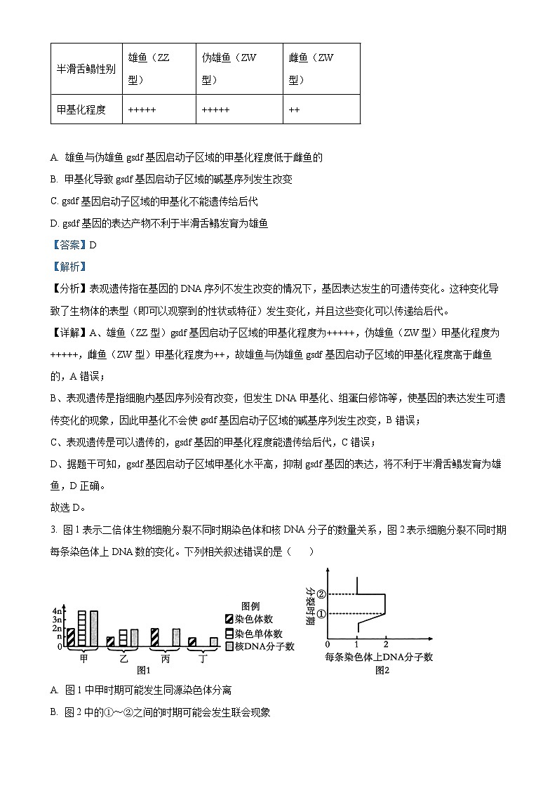 河南省新乡市名校2024-2025学年高三上学期期中联考生物试题含解析第2页