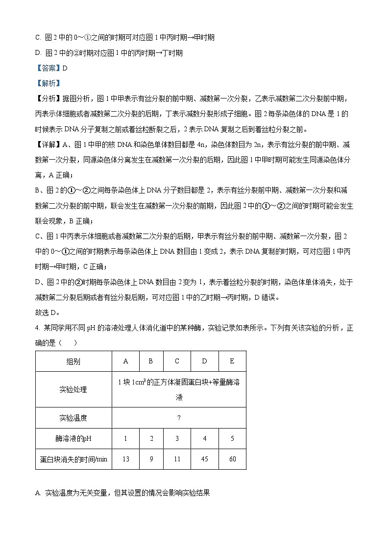 河南省新乡市名校2024-2025学年高三上学期期中联考生物试题含解析第3页
