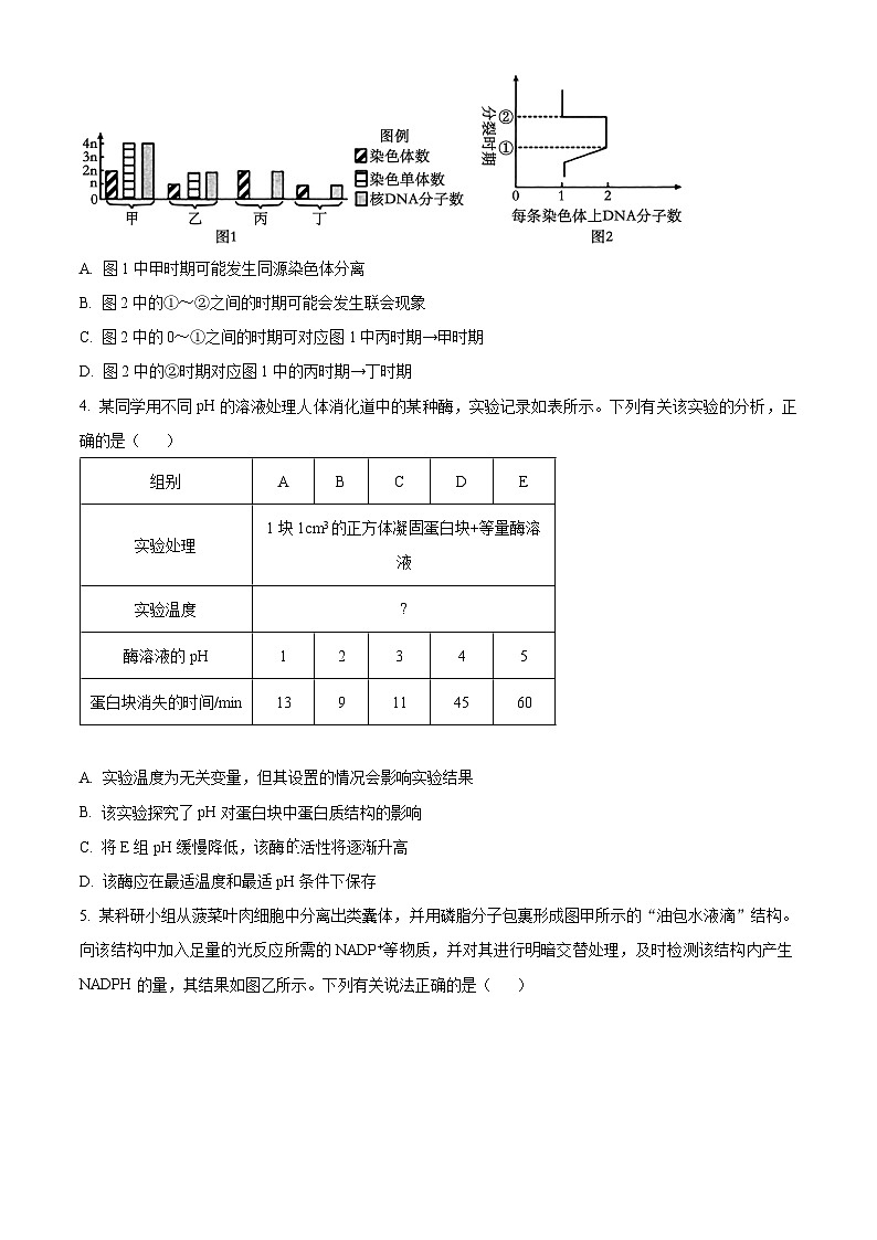 河南省新乡市名校2024-2025学年高三上学期期中联考生物试题无答案第2页