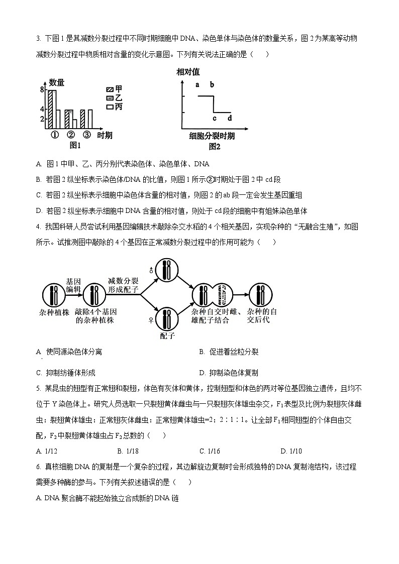 吉林省长春市东北师范大学附属中学2024-2025学年高三上学期第二次摸底考试生物试题无答案第2页