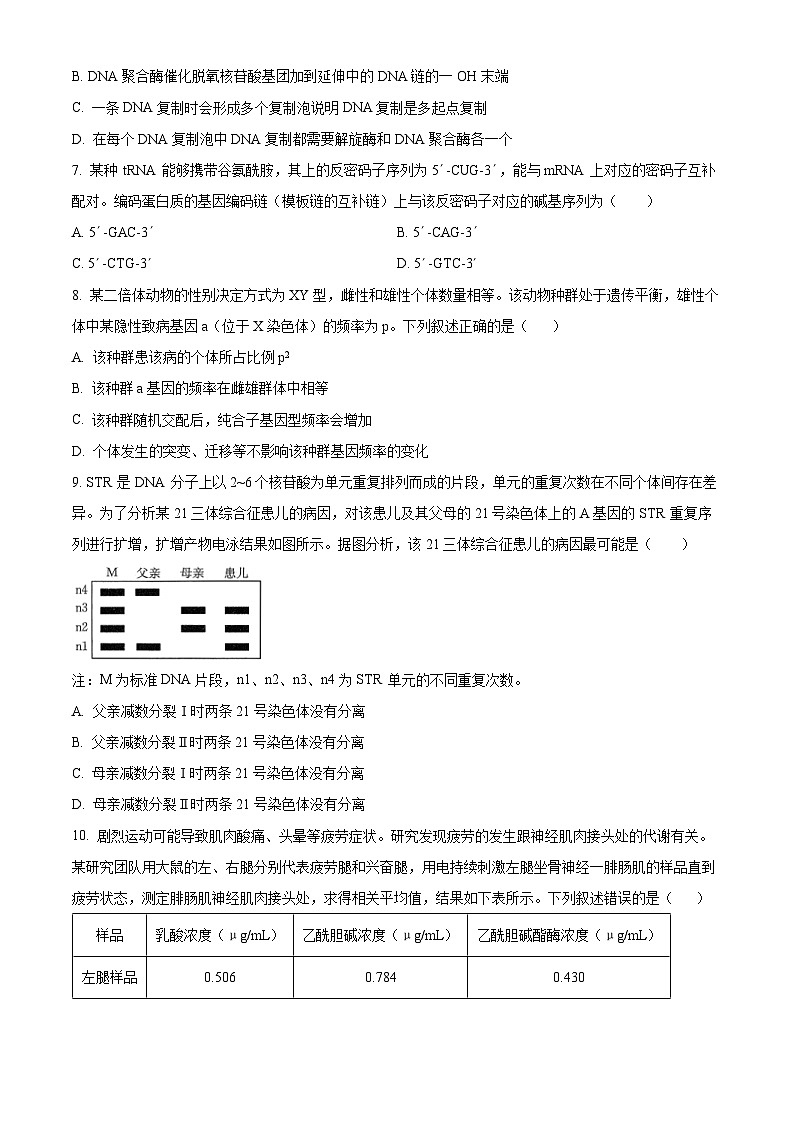 吉林省长春市东北师范大学附属中学2024-2025学年高三上学期第二次摸底考试生物试题无答案第3页