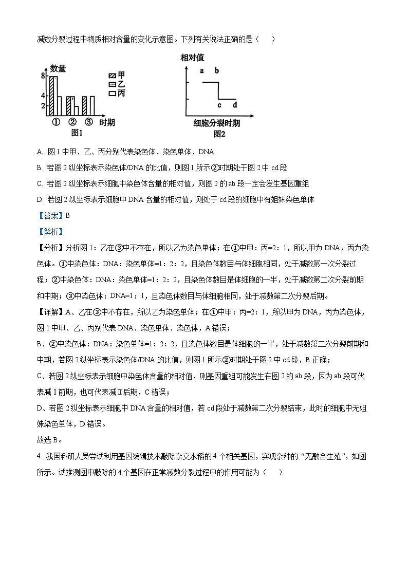 吉林省长春市东北师范大学附属中学2024-2025学年高三上学期第二次摸底考试生物试题含解析第3页