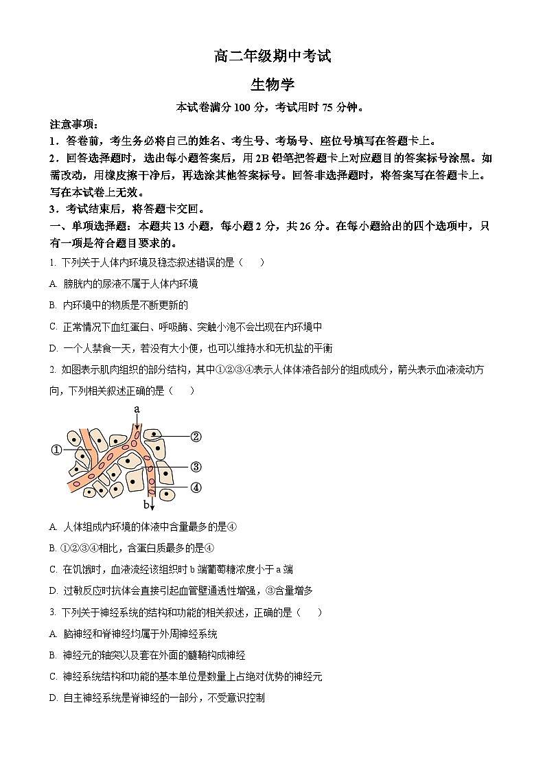 河北省保定市定州市2024-2025学年高二上学期11月期中生物试题无答案第1页