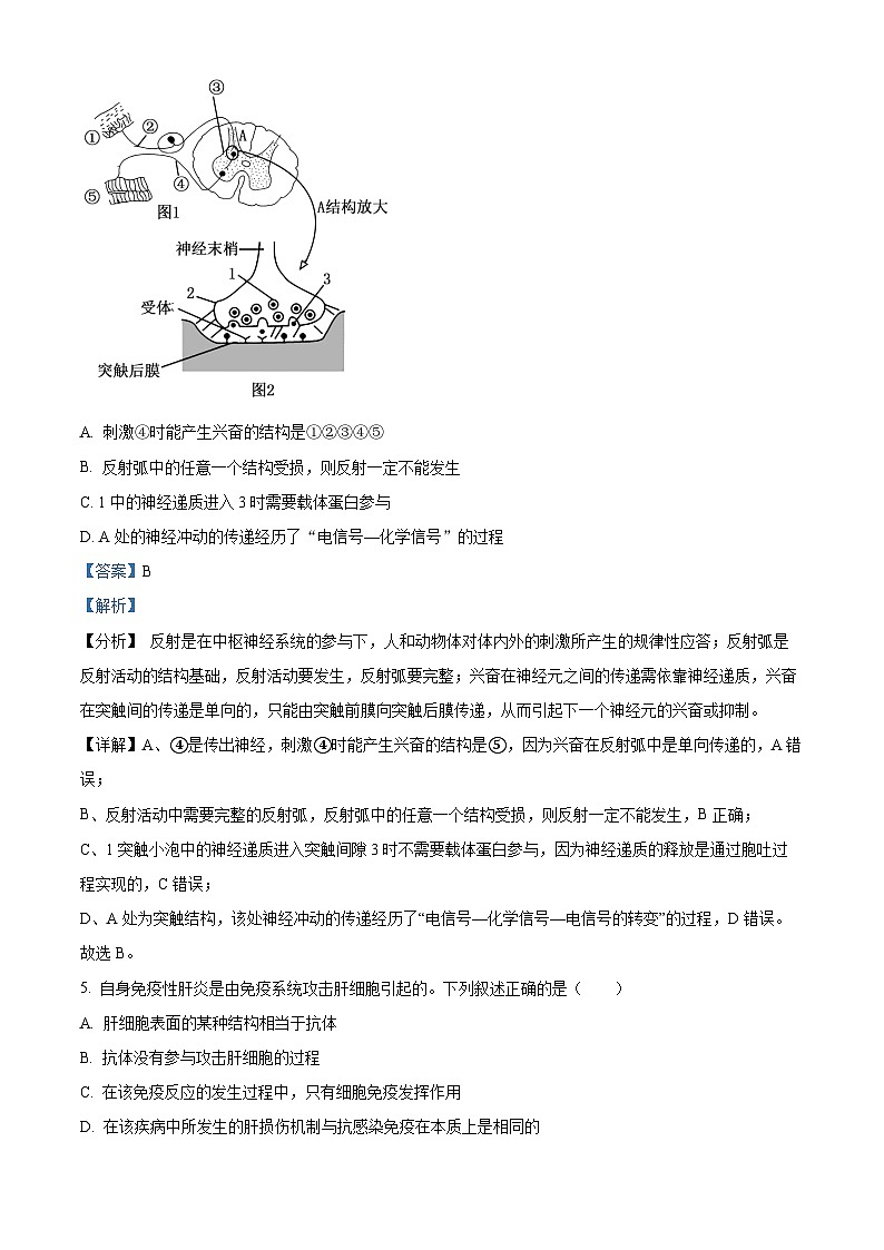 江苏省连云港市灌南县2024-2025学年高二上学期11月期中生物试题含解析第3页