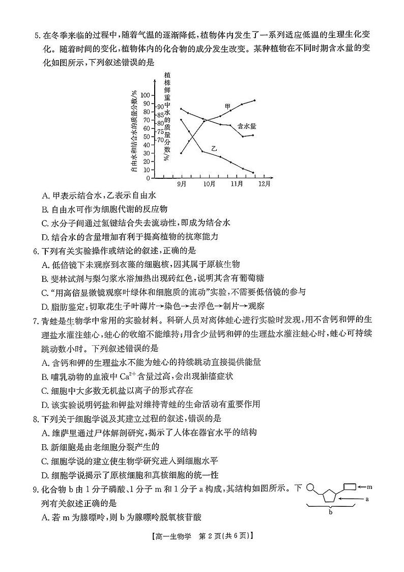 河北省唐山市部分学校2024-2025学年高一上学期11月期中联考生物试卷第2页