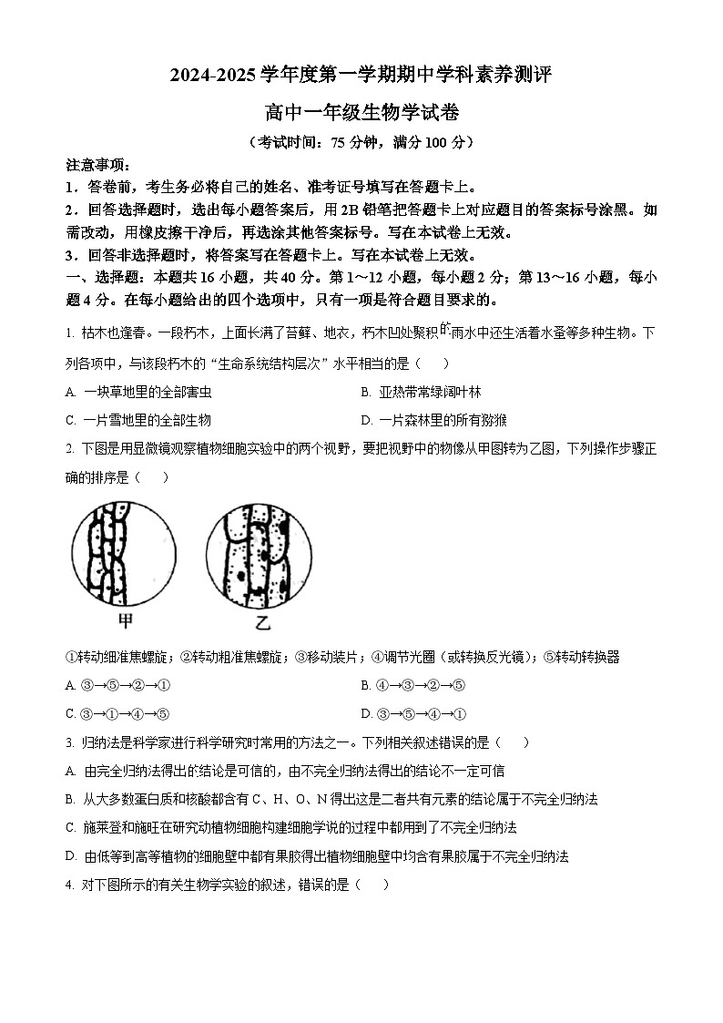广东省茂名市化州市2024-2025学年高一上学期11月期中生物试题无答案第1页