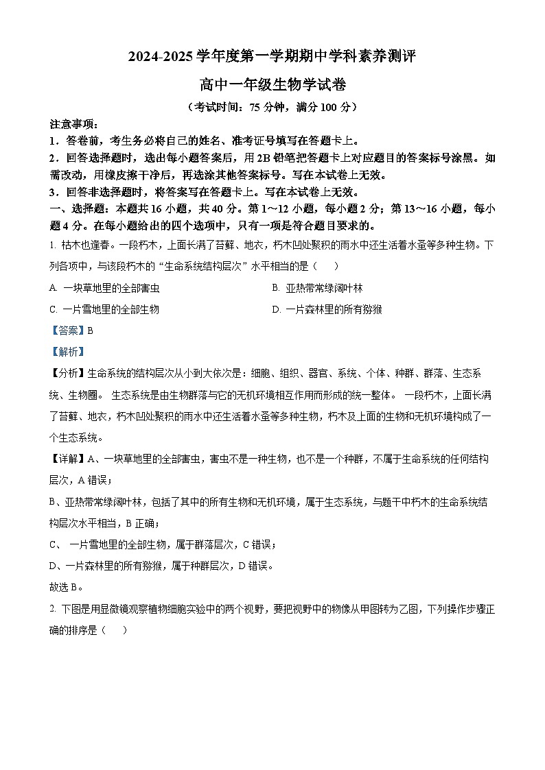 广东省茂名市化州市2024-2025学年高一上学期11月期中生物试题含解析第1页
