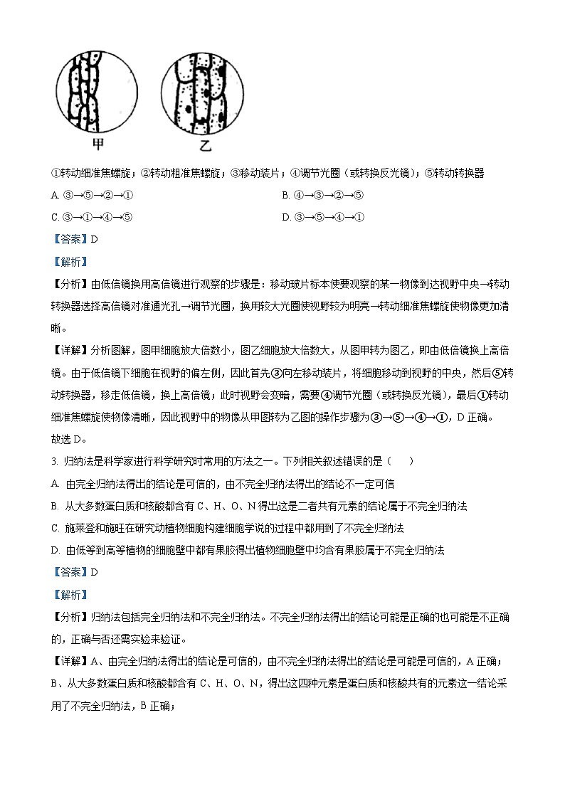 广东省茂名市化州市2024-2025学年高一上学期11月期中生物试题含解析第2页
