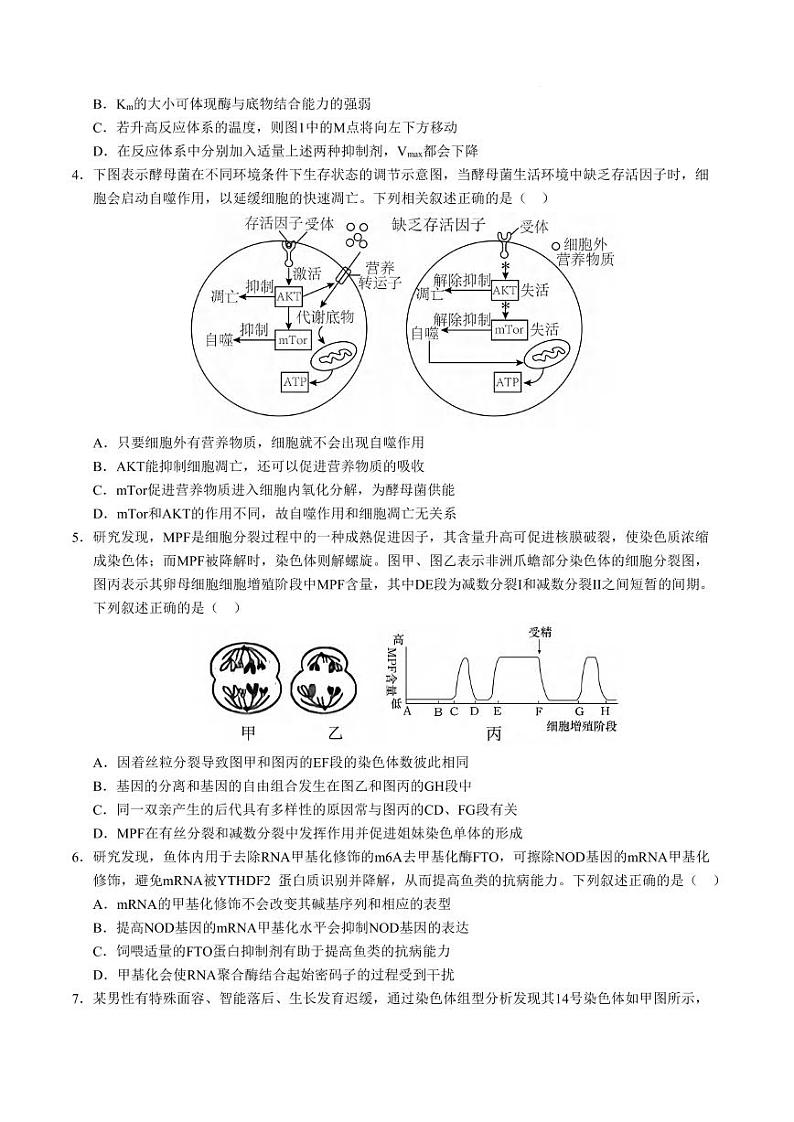 生物丨八省联考2025届高三1月考试考前猜想卷生物试卷及答案（一）第2页