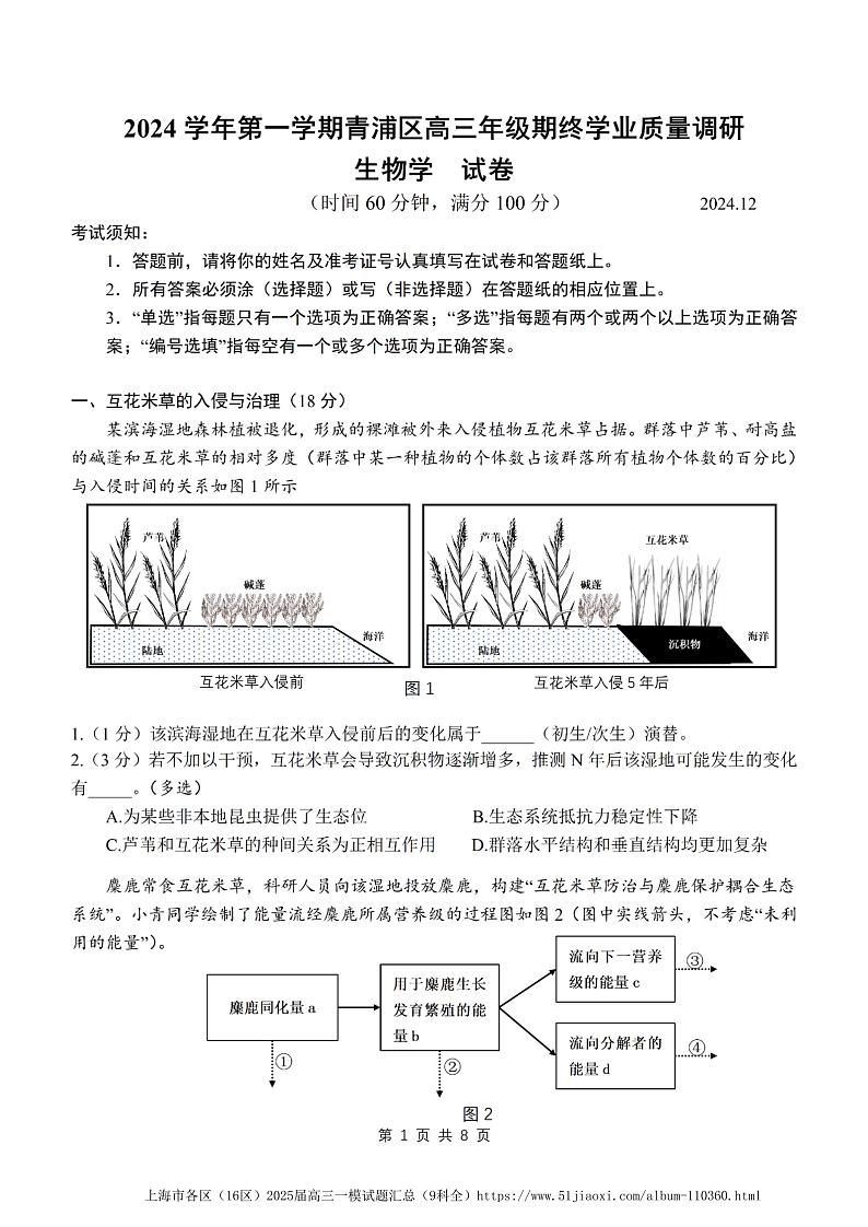 2025届上海市青浦区2024-2025学年高三一模学业质量调研生物试卷及答案第1页