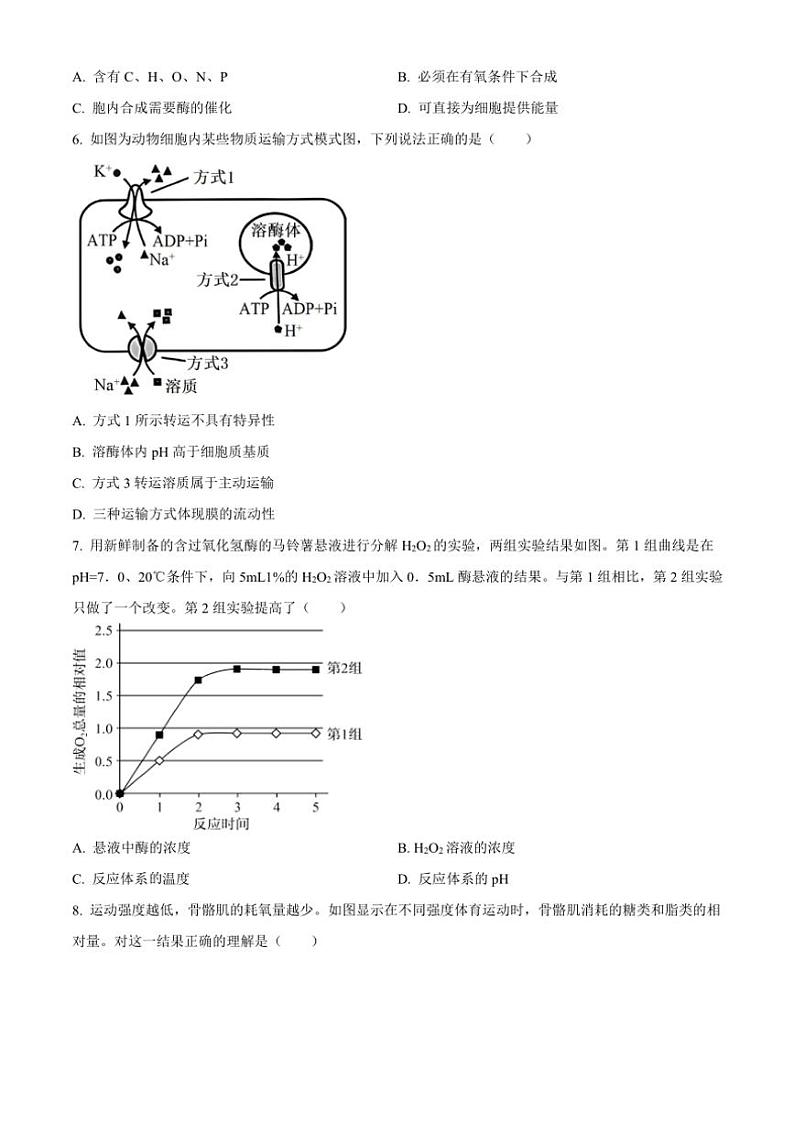 2024～2025学年北京市东城区第五十五中学高一(上)12月月考生物试卷(含答案)第2页