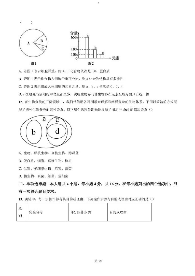 2024～2025学年广东省茂名市电白区高一(上)期中生物试卷(含答案)第3页