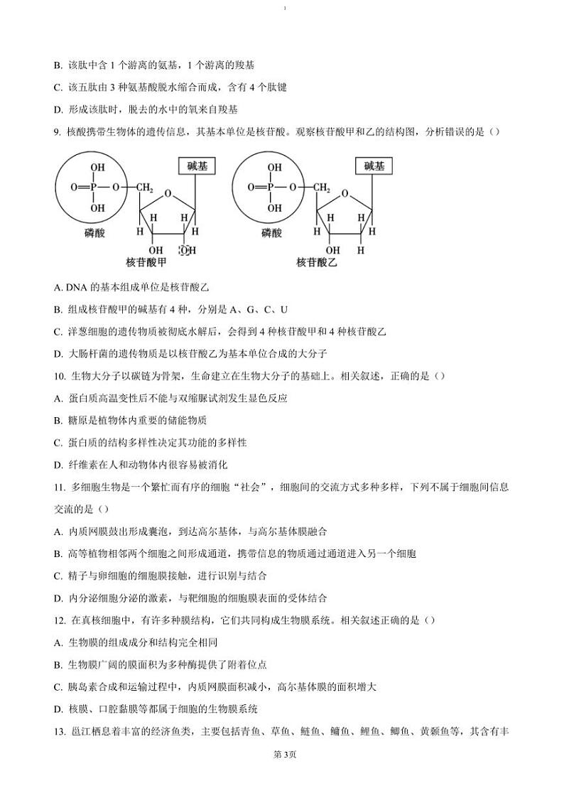 2024～2025学年广西壮族自治区玉林市高一(上)期中生物试卷(含答案)第3页