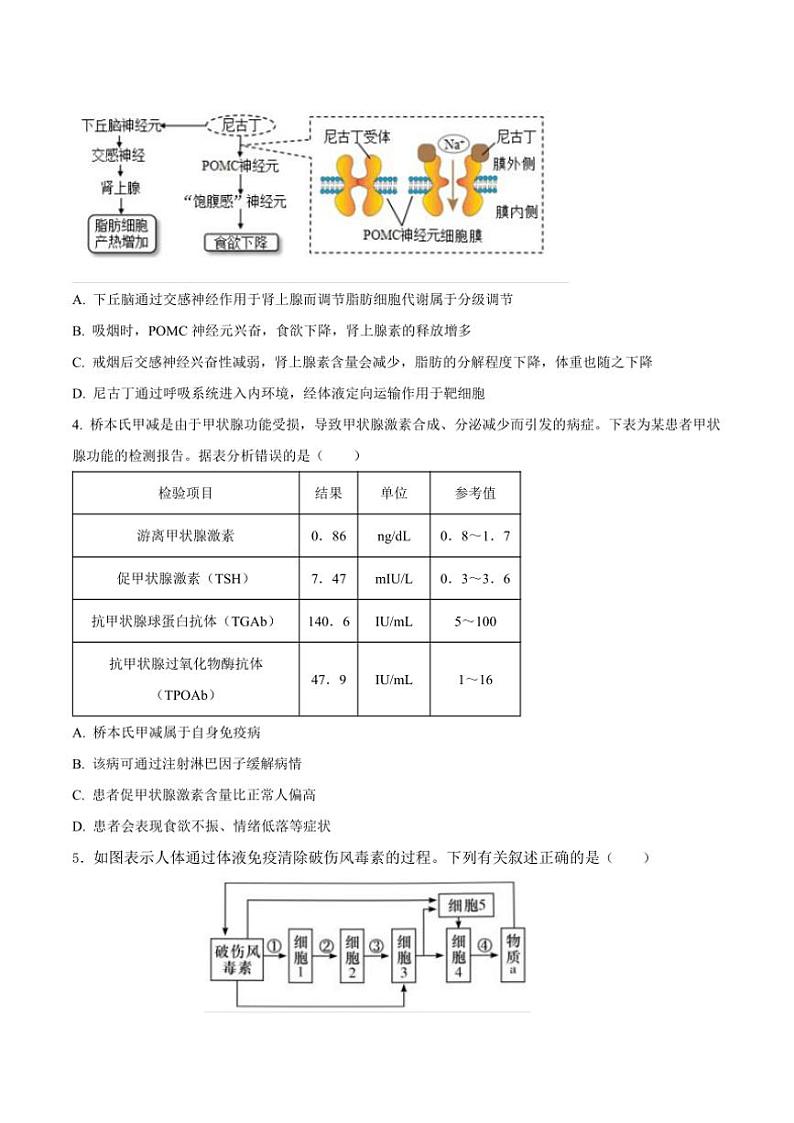 2024～2025学年湖南省邵阳市邵东市第一中学高二(上)第三次月考生物试卷(含答案)第2页