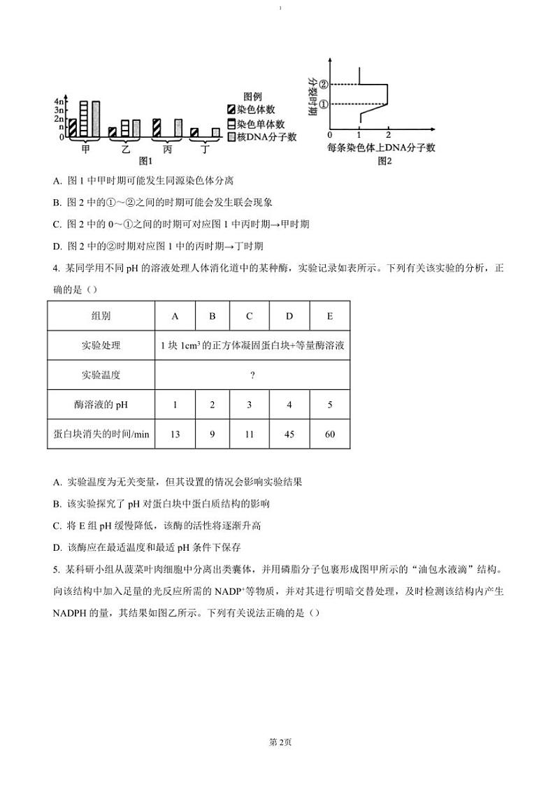 2024～2025学年河南省新乡市名校高三(上)期中阶段性诊断测试生物试卷(含答案)第2页