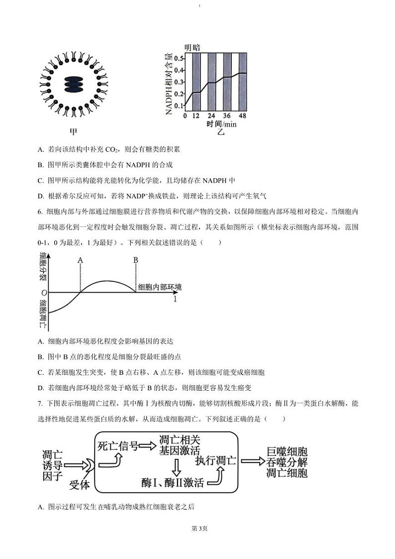 2024～2025学年河南省新乡市名校高三(上)期中阶段性诊断测试生物试卷(含答案)第3页