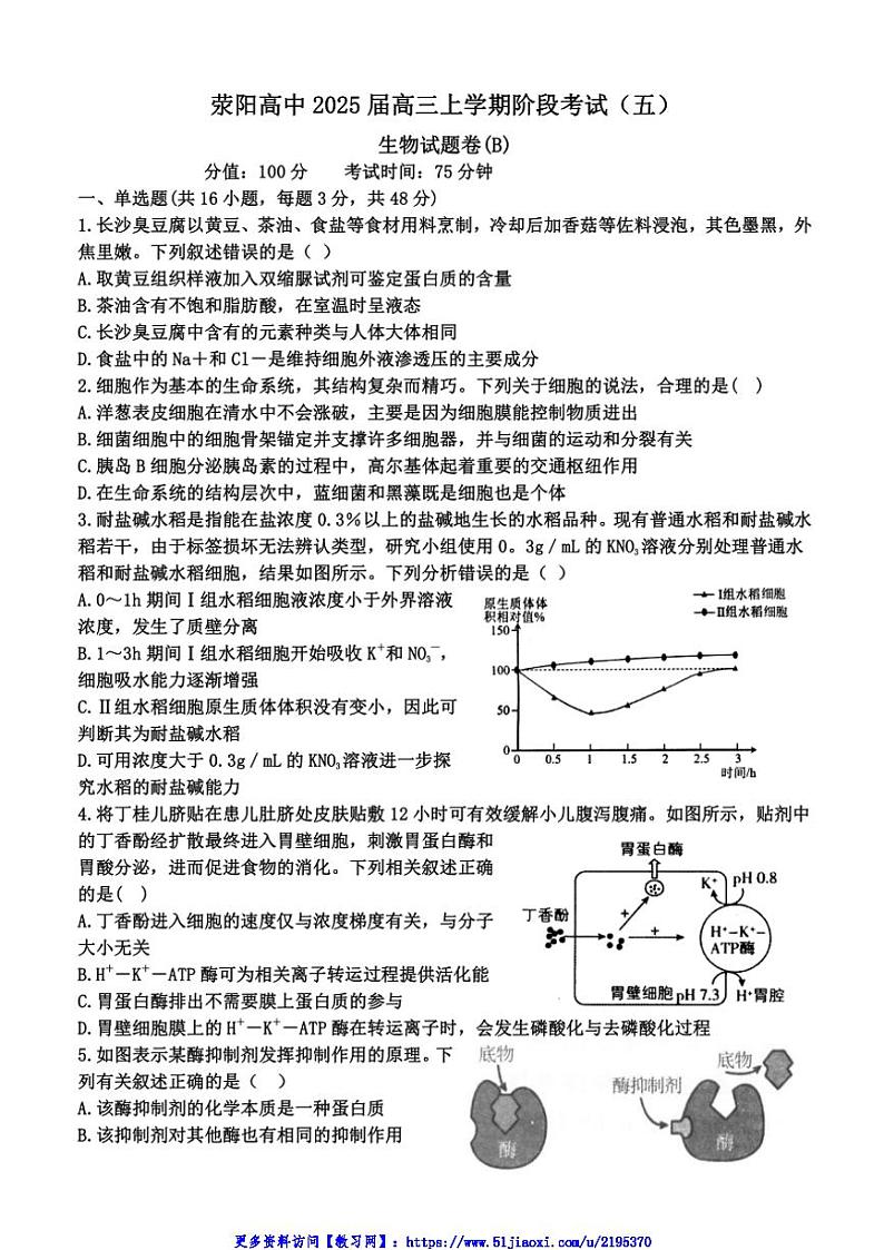 2024～2025学年河南省郑州市荥阳市高级中学高三(上)阶月考试五生物试卷(含答案)第1页