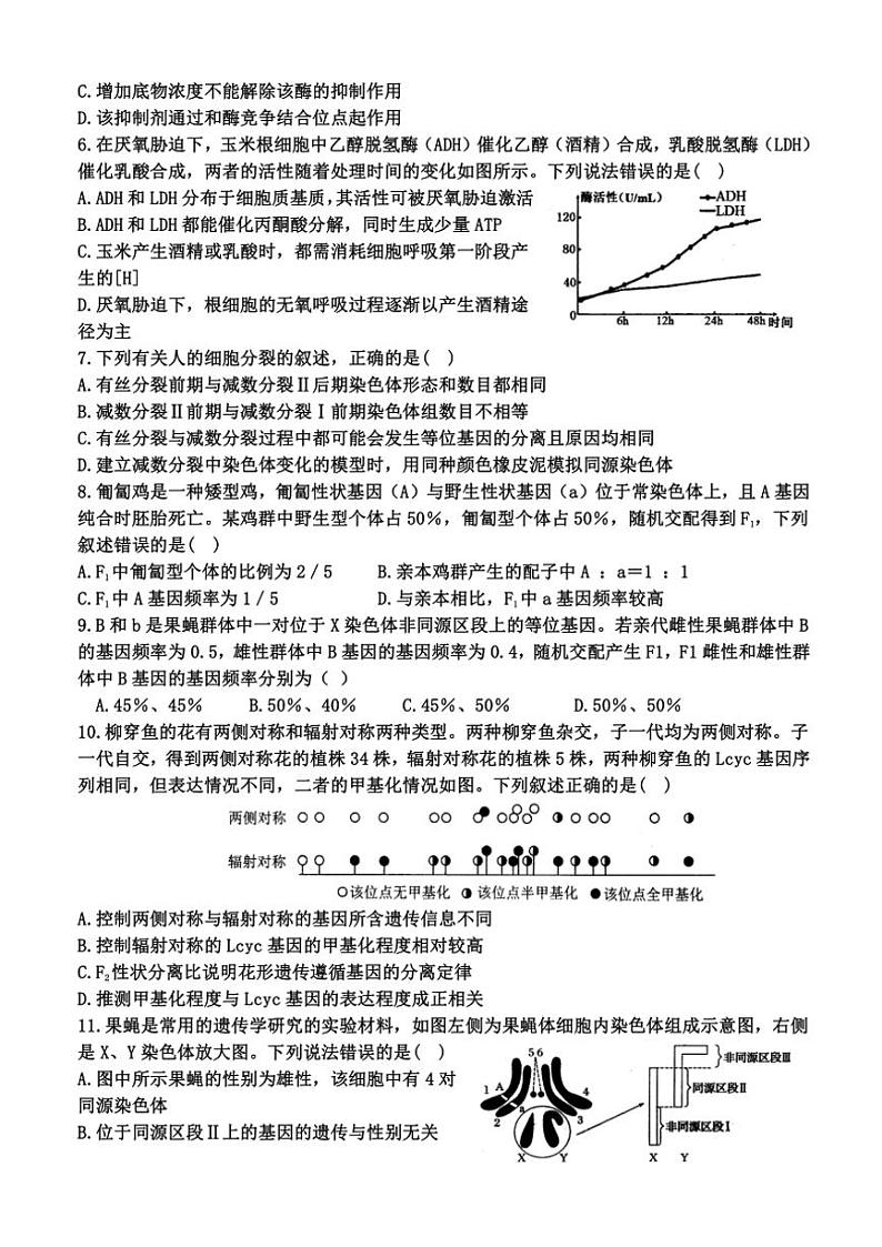 2024～2025学年河南省郑州市荥阳市高级中学高三(上)阶月考试五生物试卷(含答案)第2页