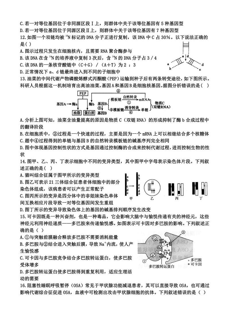 2024～2025学年河南省郑州市荥阳市高级中学高三(上)阶月考试五生物试卷(含答案)第3页