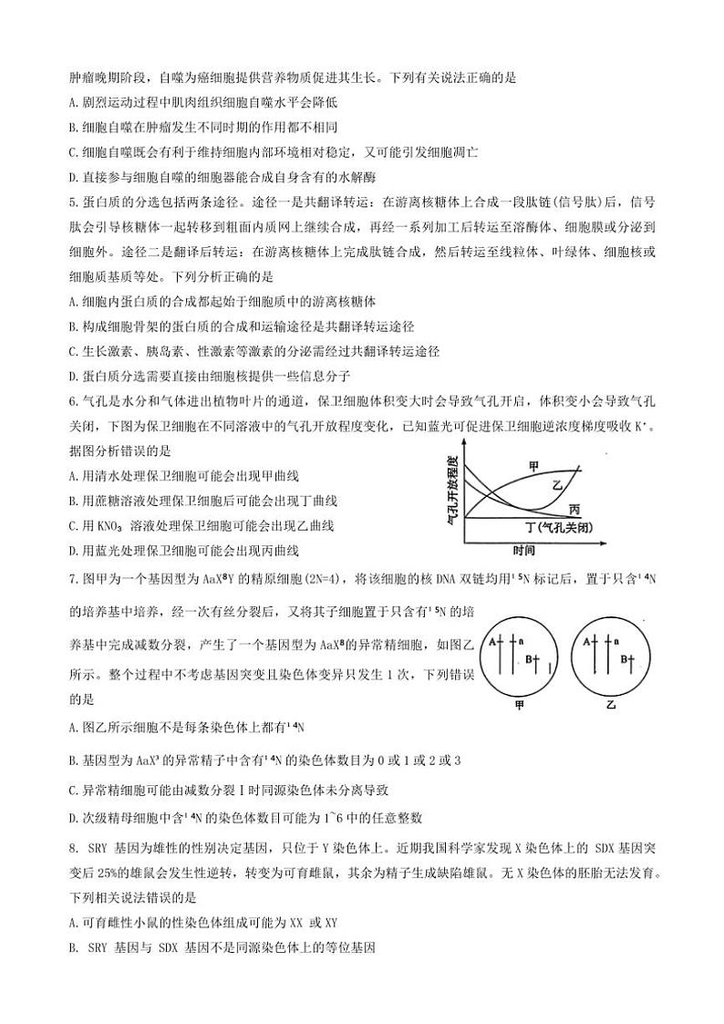 2024～2025学年湖北省腾云联盟高三(上)12月联考(月考)生物试卷(含答案)第2页