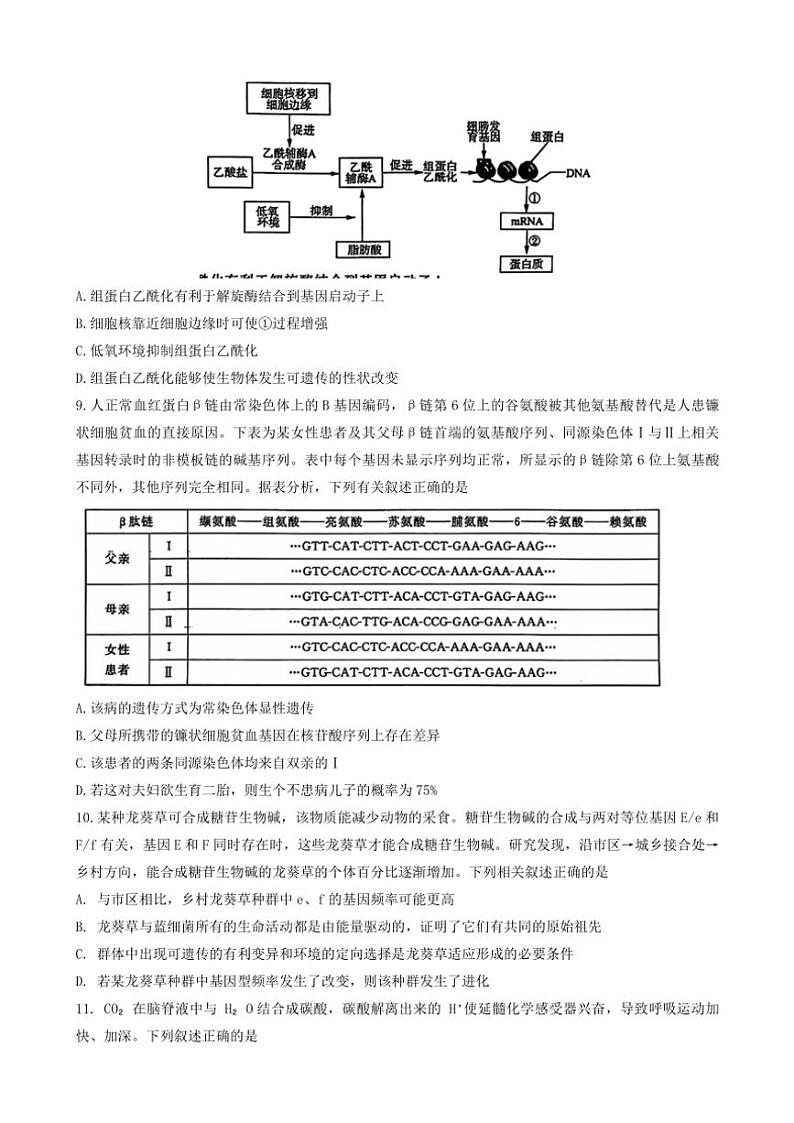 2024～2025学年山东省名校考试联盟高三(上)12月月考生物试卷(含答案)第3页