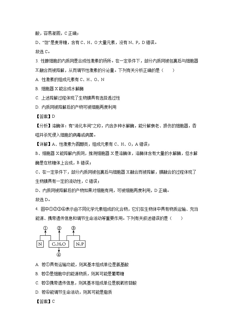 2023~2024学年湖北省黄冈市高一(上)1月期末生物试卷(解析版)第2页