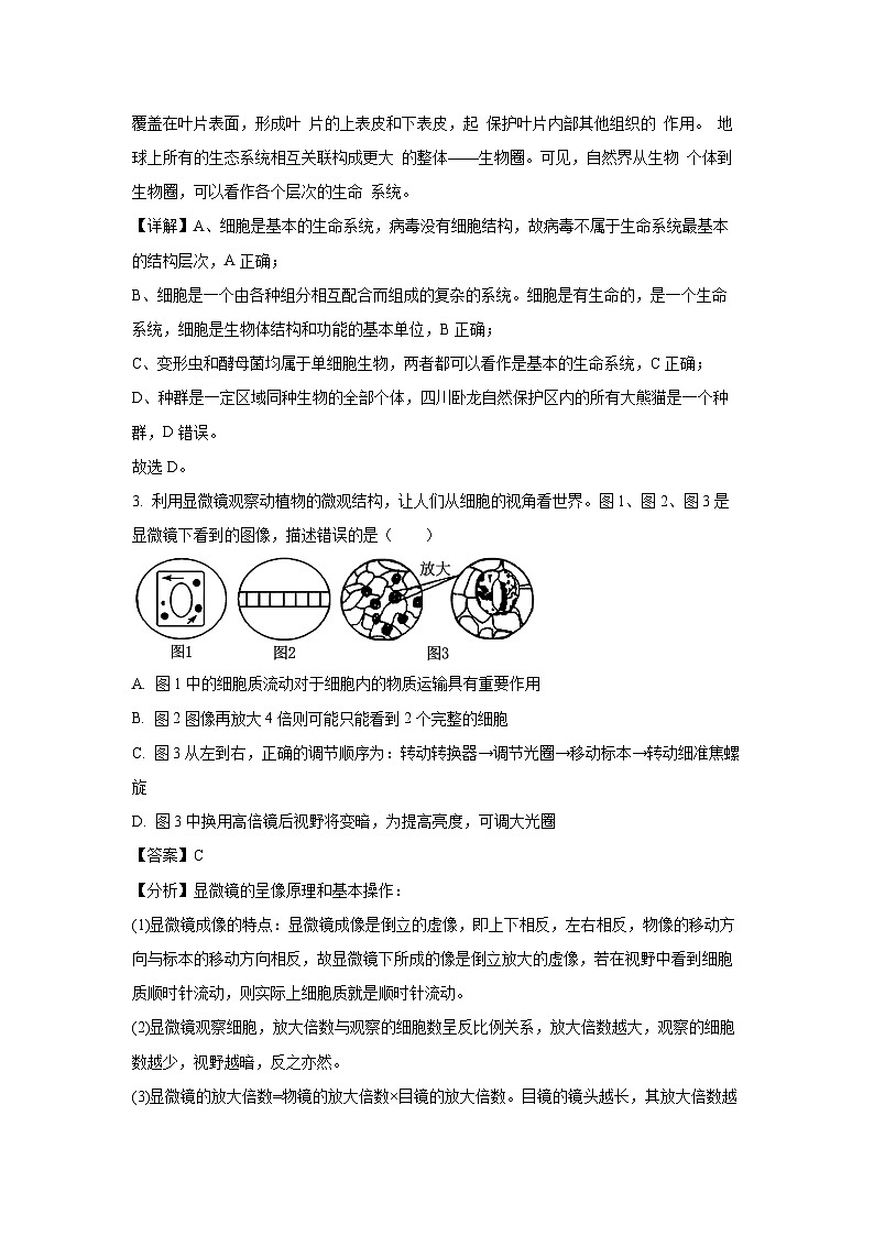 2024~2025学年安徽省宿州市皖北联考高一(上)11月期中生物试卷(解析版)第2页