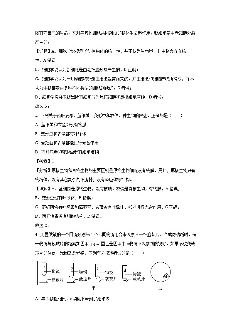 2024~2025学年广东省深圳市盟校期高一(上)11月期中生物试卷(解析版)第2页