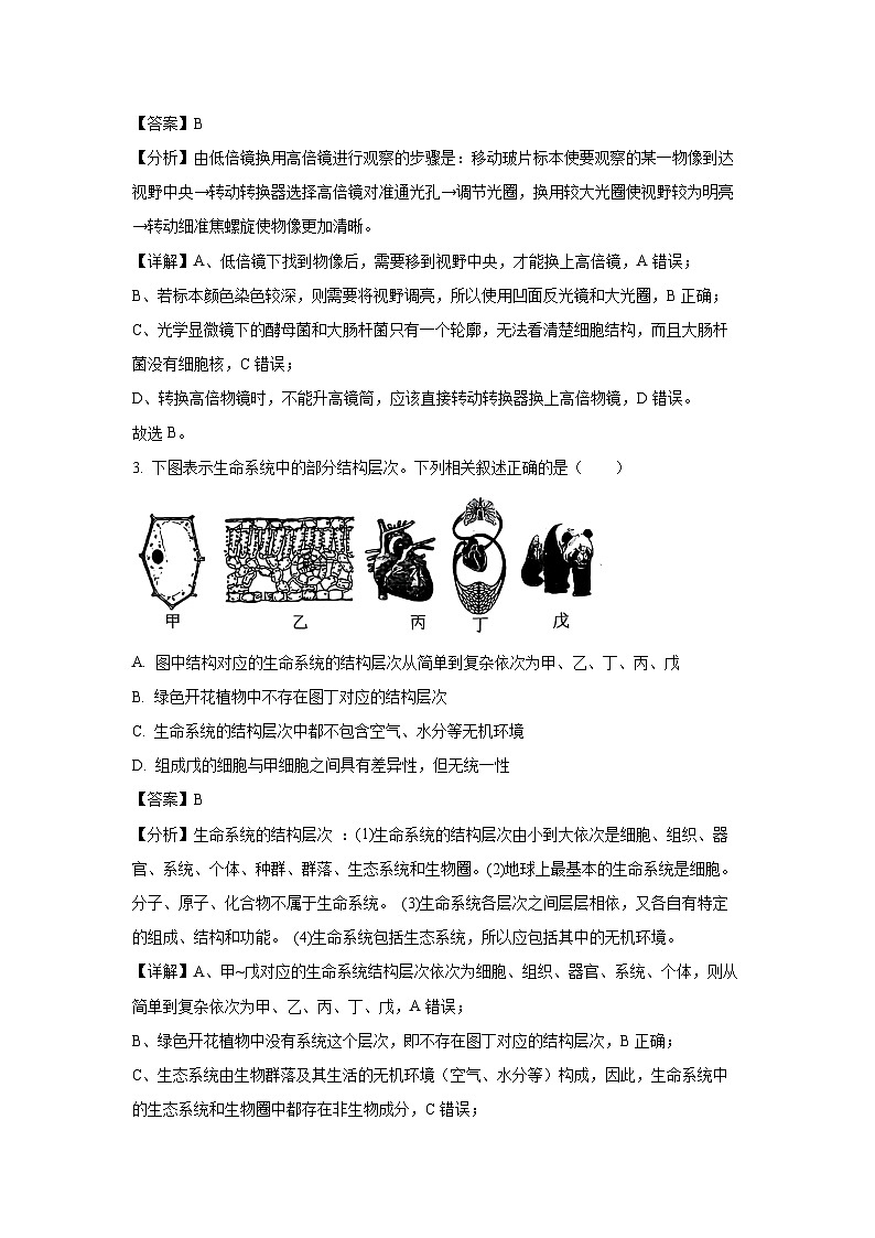 2024~2025学年广东省阳江市高新区高一(上)11月期中测试生物试卷(解析版)第2页