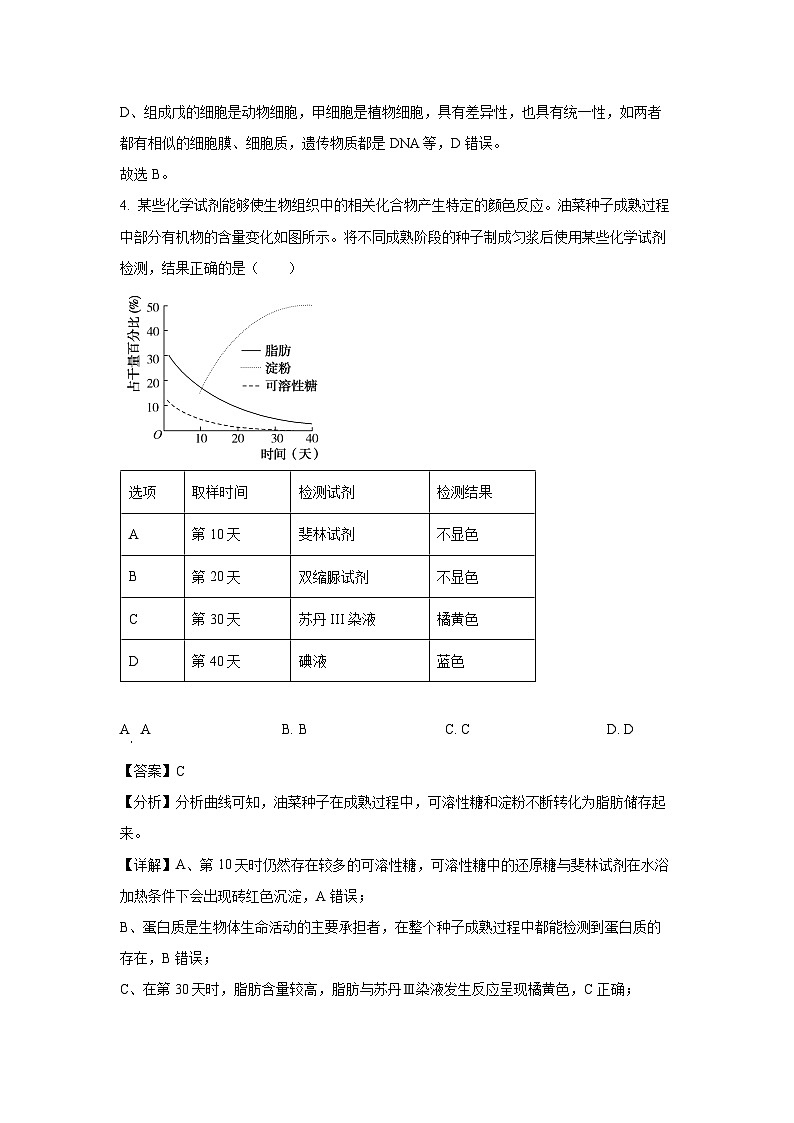 2024~2025学年广东省阳江市高新区高一(上)11月期中测试生物试卷(解析版)第3页