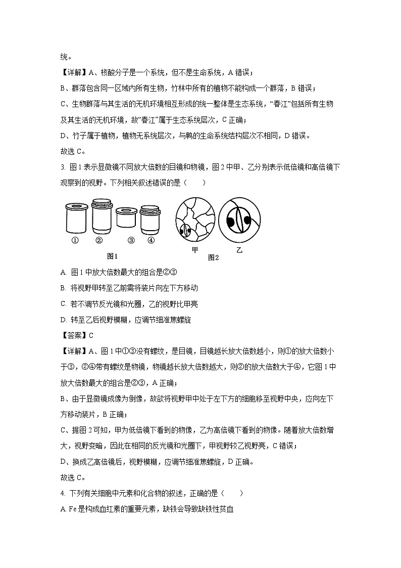 2024~2025学年贵州省六盘水市高一(上)期中生物试卷(解析版)第2页