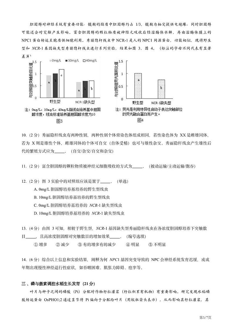 2025届上海市宝山区2024-2025学年高三一模生物试卷及答案第3页