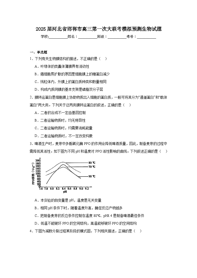 2025届河北省邯郸市高三第一次大联考模拟预测生物试题第1页
