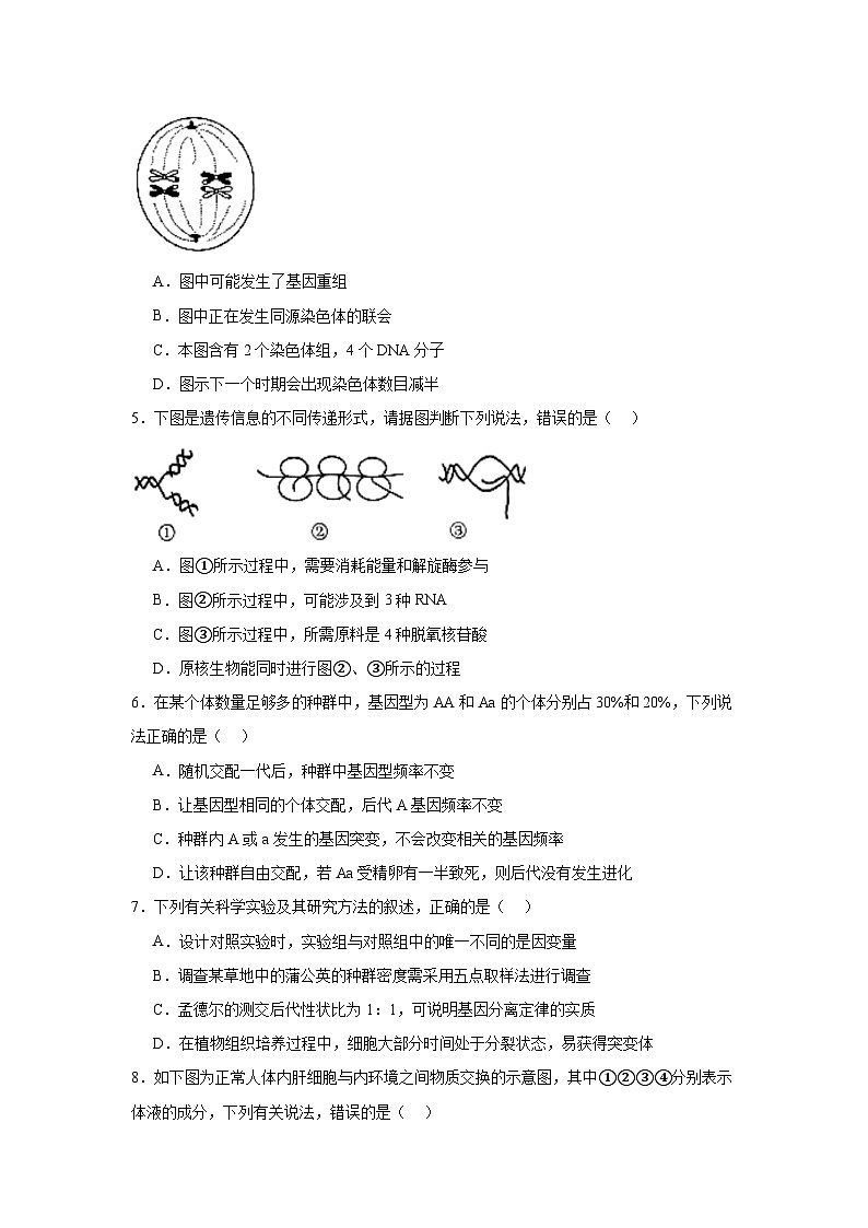 2025届河北省邯郸市高三第一次大联考模拟预测生物试题第2页