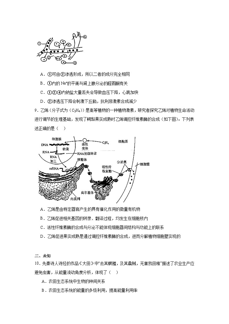 2025届河北省邯郸市高三第一次大联考模拟预测生物试题第3页