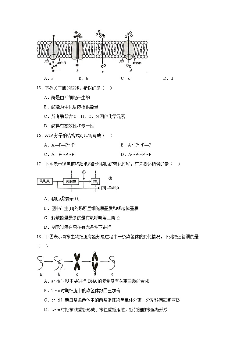 2025届江苏省徐州市高二合格考模拟预测生物试题第3页