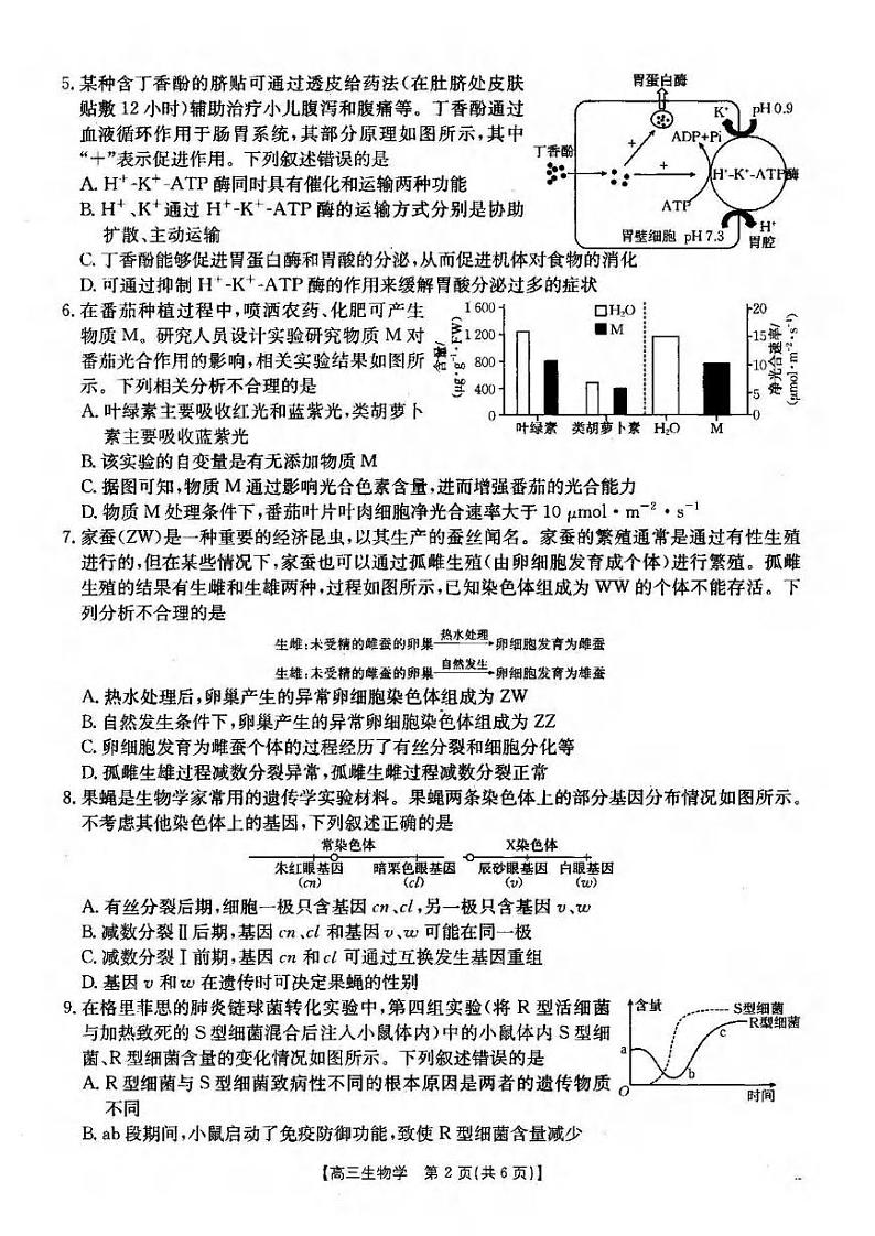 生物丨湖北省金太阳2025届高三12月联考生物试卷及答案第2页