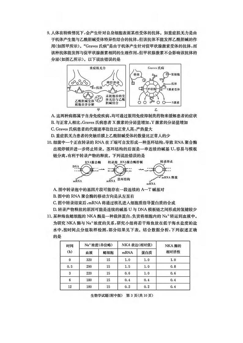 生物丨湖南省湖南师大附中2025届高三12月月考试卷（四）生物试卷及答案第3页