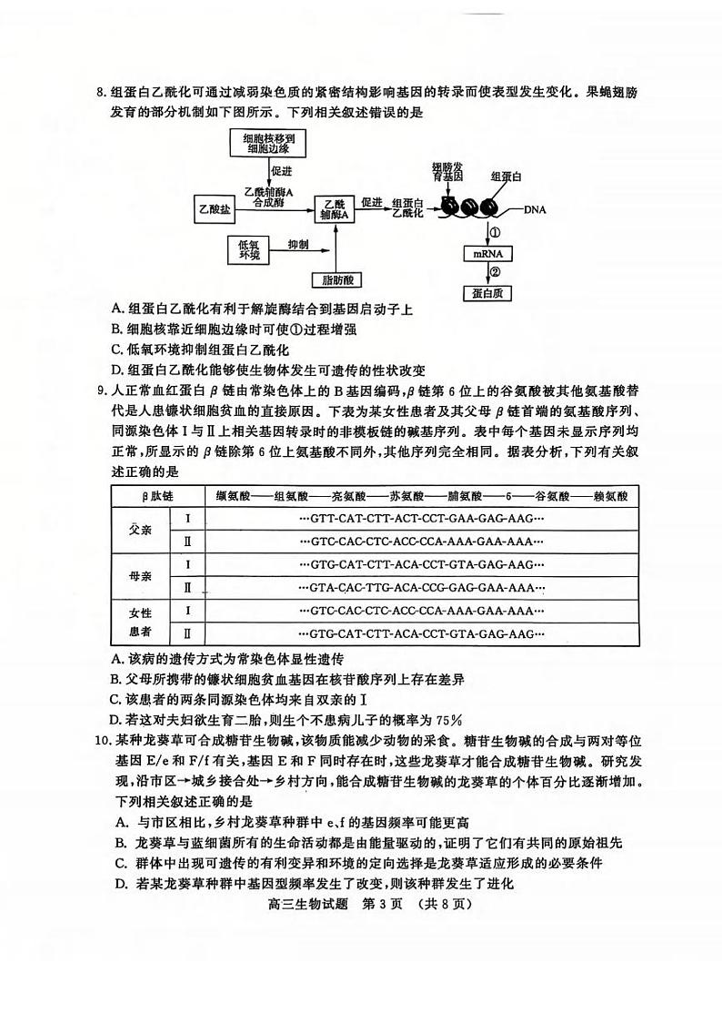 生物丨山东省名校考试联盟2025届高三12月全省阶段性检测生物试卷及答案第3页